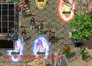 ��ο��ٻ�ȡ�°�����������