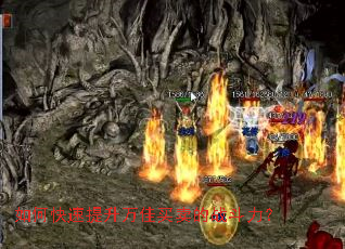 ��ο����������������ս������