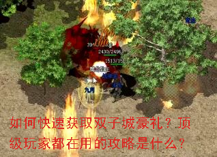 ��ο��ٻ�ȡ˫�ӳǺ��񣿶�����Ҷ����õĹ�����ʲô��