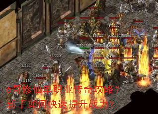 6�����ɵ�ְҵ���湥�ԣ�������ο�������ս����