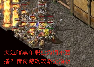 �������ڵ�ְҵΪ�β�ֱ����������Ϸ����ȫ����