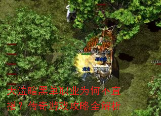 �������ڵ�ְҵΪ�β�ֱ����������Ϸ����ȫ����