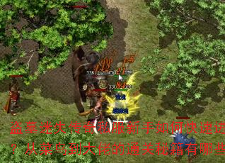 ��Ĺ��ʧ����˽��������ο��ٽ��ף��Ӳ��񵽴��е�ͨ���ؼ�����Щ��