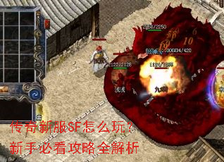 �����·�SF��ô�棿���ֱؿ�����ȫ����