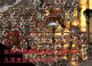 ��ο��ٻ���Ⱥ��֮�ز�5854��β���302300249��