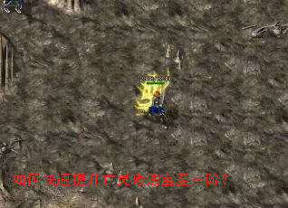 ��ο������������ط��������ף�