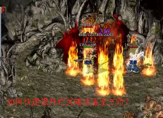 ��ο������������ط��������ף�