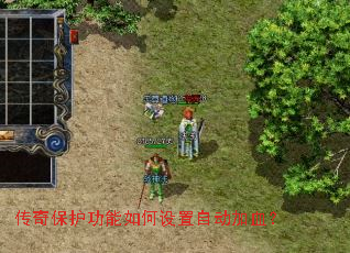 ���汣��������������Զ���Ѫ��