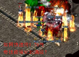 ��ο��ٽ�1.76���漼��ǿ����������