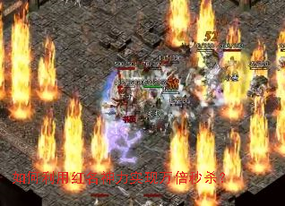 ������ú�������ʵ������ɱ��