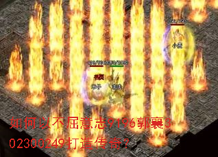 ����Բ�����־9196����302300249���촫�棿