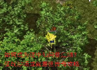 ��γ�Ϊ�������ʶ���������սɳ���ɾ͸������湥��