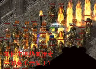 ��λ�����Ѫ�����еĽ�צ�������