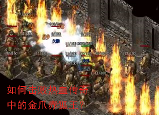 ��λ�����Ѫ�����еĽ�צ�������