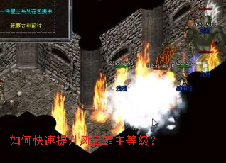 ��ο����������ư����ȼ���