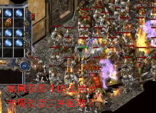 ��λ�ȡţ�����Աר�����뵶�����գ�