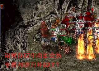 ��λ�ȡţ�����Աר�����뵶�����գ�