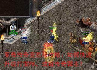 �������̬�����ԣ���ο���������PK���ɾʹ��������