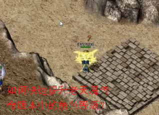 ��ο�����������ħ����汾�еĽ�ɫ�ȼ���