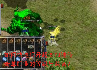 ��ο�������������ٴ��浥ְҵ�ĵȼ���װ����