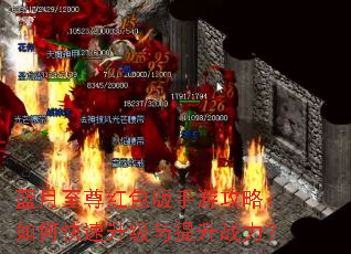 ���������������ι��ԣ���ο�������������ս����