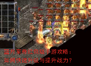 ���������������ι��ԣ���ο�������������ս����