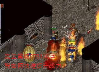 ���Ƶڳ�8781�Ħ����ο�������ս����