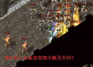 ��γ�Ϊ�׽�����С�����ʦ��