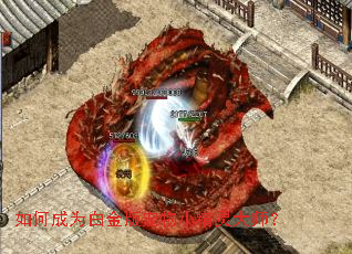 ��γ�Ϊ�׽�����С�����ʦ��