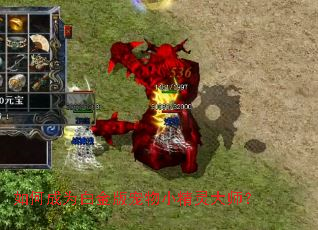 ��γ�Ϊ�׽�����С�����ʦ��