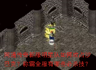 ��ͨ�����·����Ƕ���ι�ռɳ�Ϳˣ��ư�ȫ������Щ��ɱ����