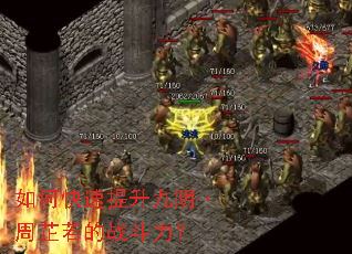 ��ο���������������������ս������