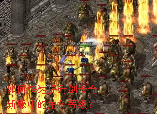 ��ο��������������·��еĽ�ɫ�ȼ���