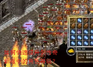 ��ο��������������·��еĽ�ɫ�ȼ���