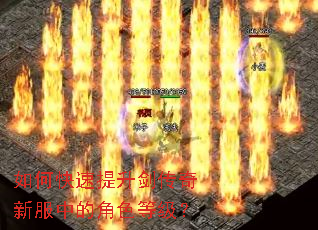 ��ο��������������·��еĽ�ɫ�ȼ���