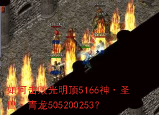 ��λ��ܹ�����5166��ʥ�ޡ�����505200253��