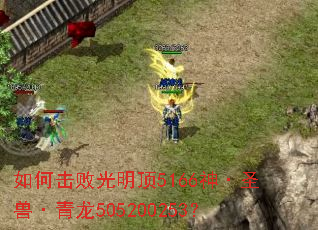 ��λ��ܹ�����5166��ʥ�ޡ�����505200253��