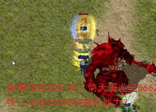 ��ο�������������������6662������302600249��ɫս����