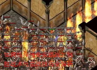 ���ָ�Ӵ������ս����ʤս����ʵս����ȫ����