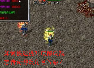 ��ο��������ɶ�����־������Ϸ��ɫ�ȼ���