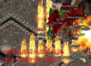 ��ο��������ɶ�����־������Ϸ��ɫ�ȼ���