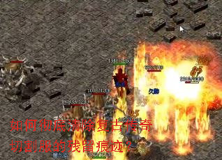 ��γ���������Ŵ����и���Ĳ����ۼ���