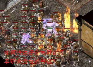 ��ο�������ÿ���¿���ְҵ����ĵȼ���