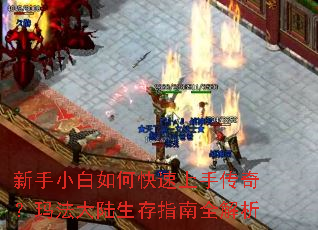 ����С����ο������ִ��棿�귨��½����ָ��ȫ����