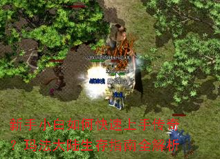 ����С����ο������ִ��棿�귨��½����ָ��ȫ����