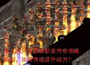 ħ֮�����ŭ��ְҵ���湥��ָ�ϣ���ο�������ս����