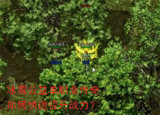 冰雪公益单职业传奇如何快速提升战力? 冰雪公益单职业传奇如何快速提升战力?