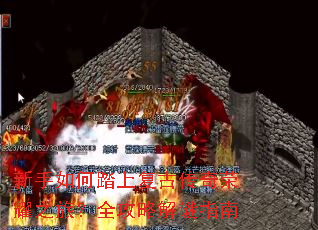 �������̤�ϸ��Ŵ�����ҫ֮�ã�ȫ���Խ���ָ��