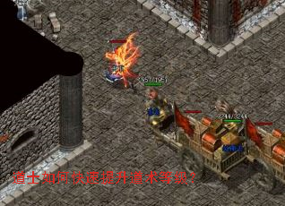 道士如何快速提升道术等级? 道士如何快速提升道术等级?