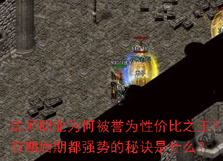 法师职业为何被誉为性价比之王?前期后期都强势的秘诀是什么? 法师职业为何被誉为性价比之王?前期后期都强势的秘诀是什么?